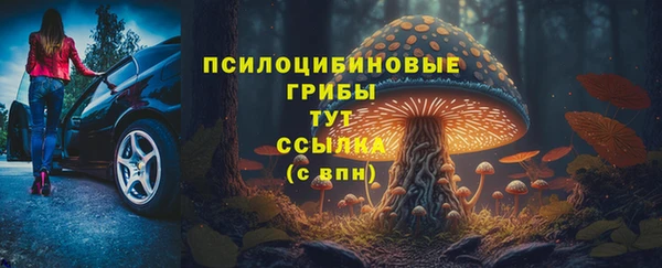 прущая мука Вязники