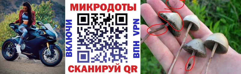 Галлюциногенные грибы мухоморы  цена наркотик  Зубцов 